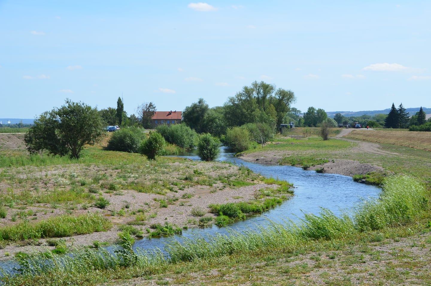 Naturnahe Gestaltung der Gera bei Walschleben, 07/2020 – 02
